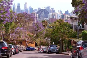 lower north shore in sydney